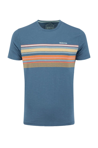 Cody Printed Stripe T-Shirt Washed Blue